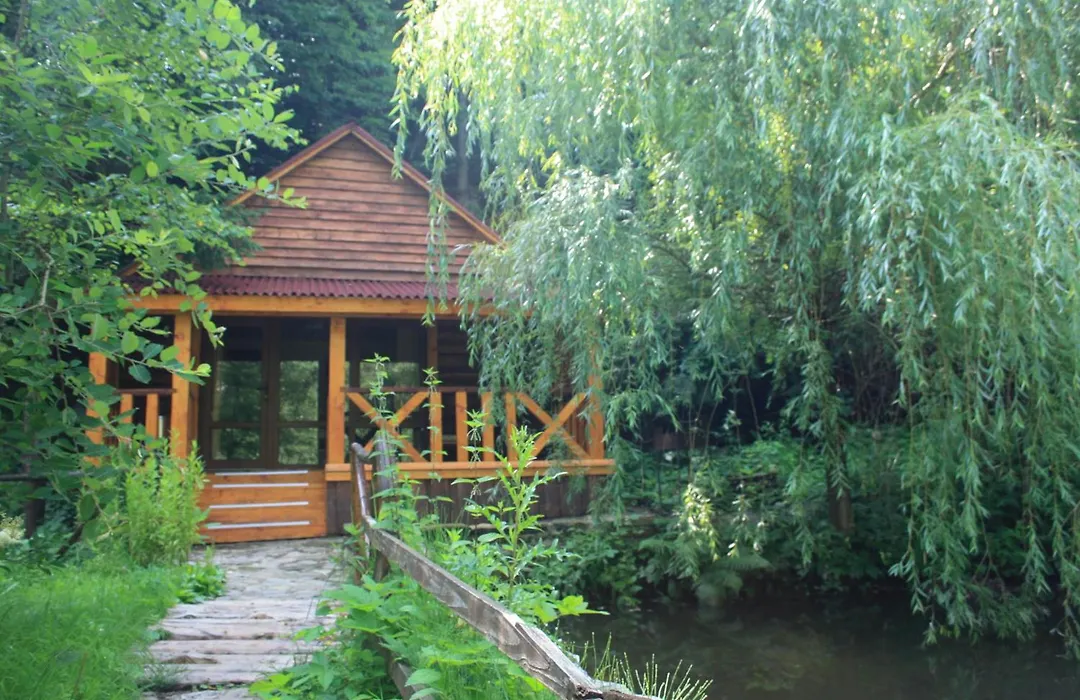 Зарінок-1